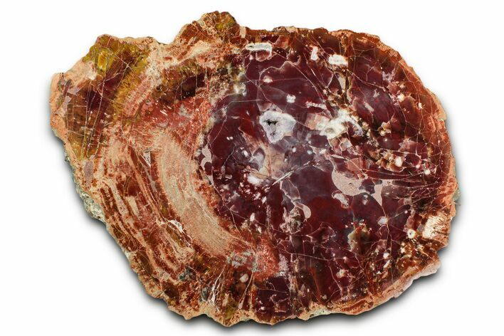 Purple/Red Arizona Petrified Wood Round - Amethyst Pocket #344103